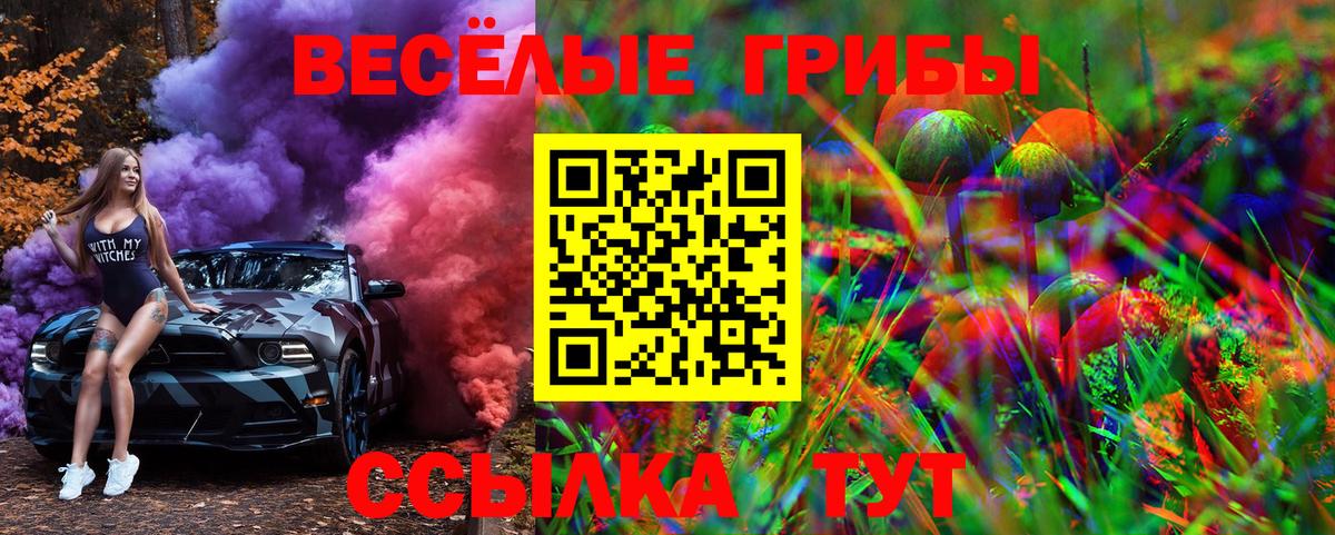 Артёмовский  Галлюциногенные грибы MAGIC MUSHROOMS  Галлюциногенные грибы Psilocybine cubensis  Вход с VPN 
